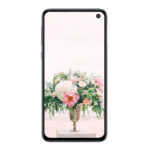 Samsung Galaxy S10e