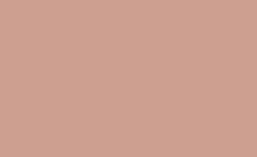 Visico Solid Color Background-Cocoa (3 x 5 m)