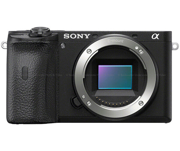 Sony Alpha A6600 Mirrorless Digital Camera (Body Only)