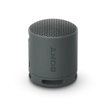 Sony SRS-XB100 Wireless Speaker