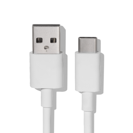 Google USB-C to USB-A Cable